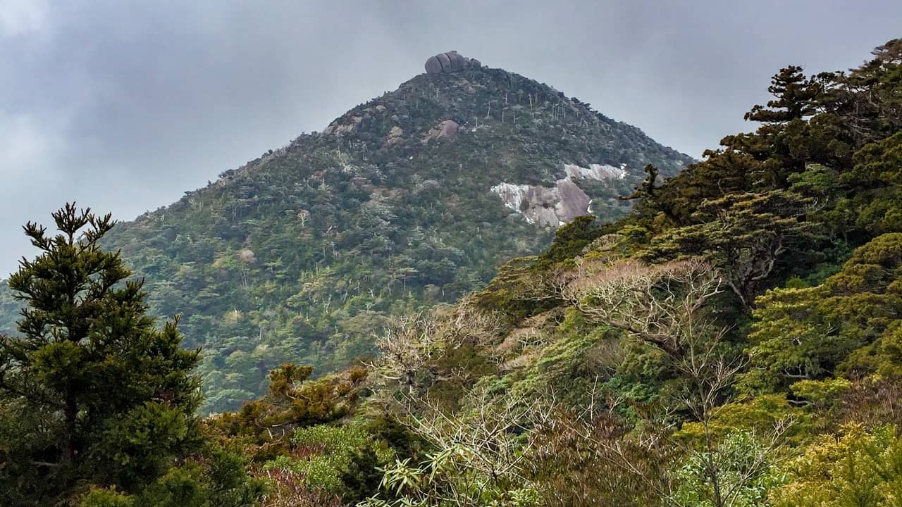 雪の屋久島・宮之浦岳】1日目・美しい花之江河を抜け、黒味岳を登り