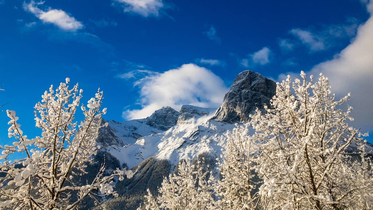 カナダで登山技術を学ぶ】アイスクライミングセクション（MSS）：（1 